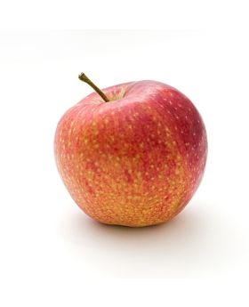 new test